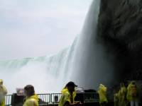 Nikita+Lenore Wedding Toronto - 189 